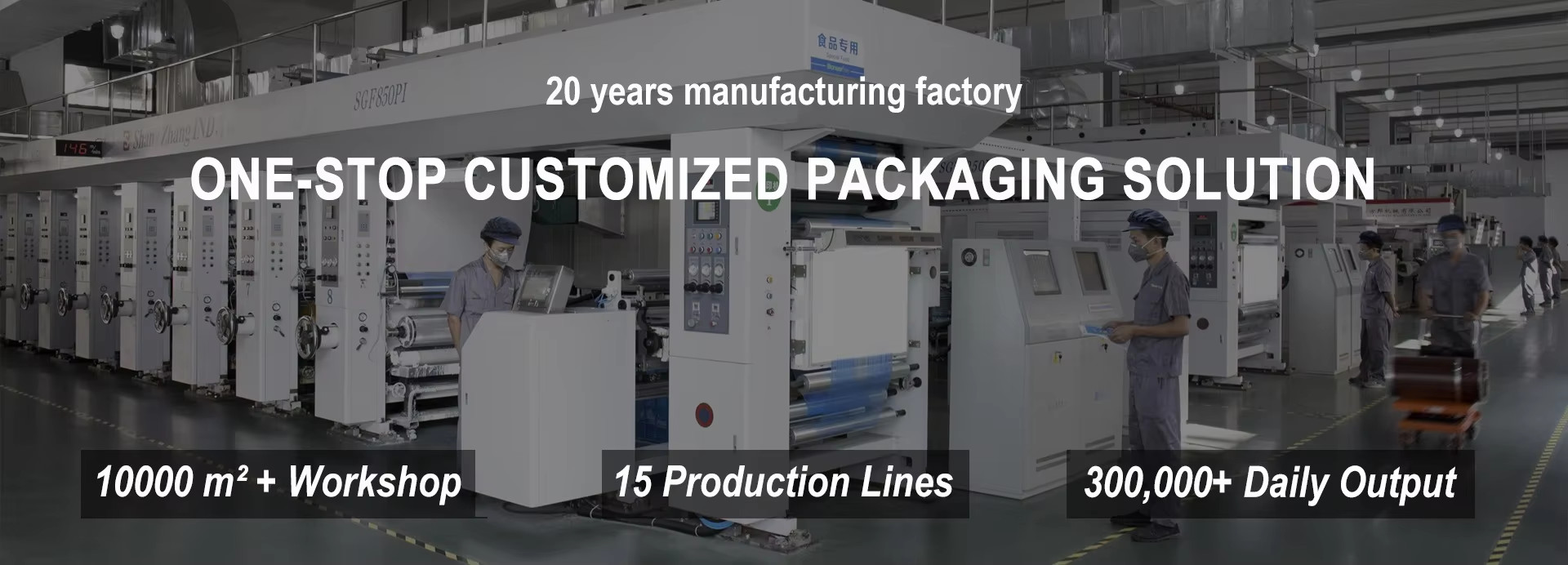 ποιότητας αυτόματη τσάντα εργοστάσιο